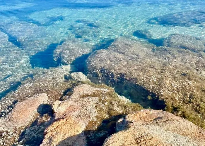 Appartement Mon Cocon Entre Mer&maquis